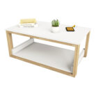 Mesa-centro-2-estantes-90-50-2