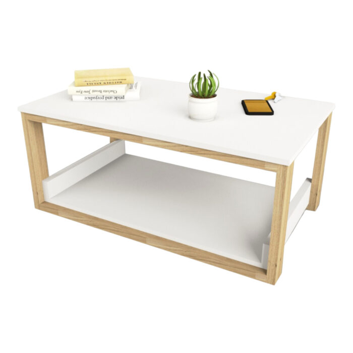 Mesa-centro-2-estantes-90-50-2